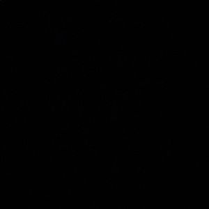 Meet your Posher, Lilach